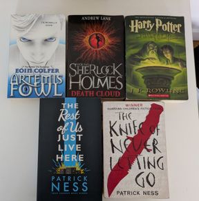Teen/Young Adult Fiction