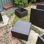 garden Image 4