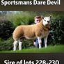 Texel Rams Image 6