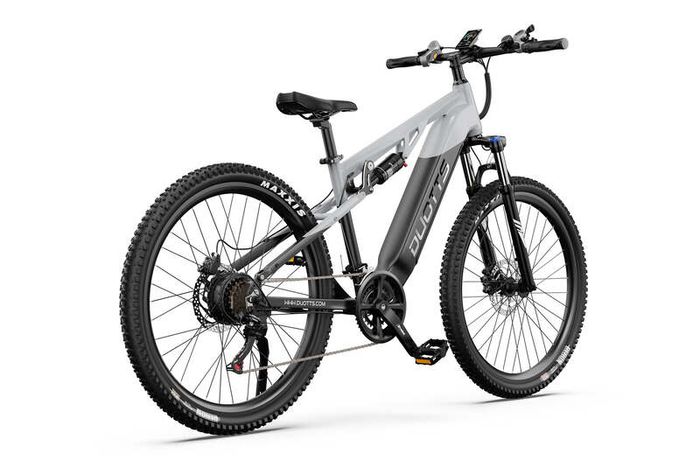 DUOTTS E29 Electric Bike