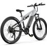 DUOTTS E29 Electric Bike Image 10
