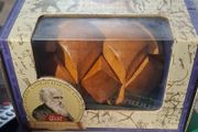 Darwins Dinosaur egg puzzle