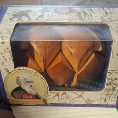 Darwins Dinosaur egg puzzle