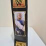 Official WWE Defining Moments Ric Flair Image 2