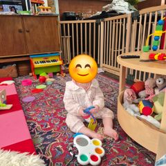 Baby gate and fence