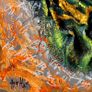 Abstract Gecko Natures Hidden Textures 40x40cm on Canvas Image 6