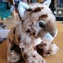 Wild cats / fox soft toy teddies Image 2