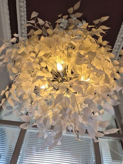 Flamingo white light