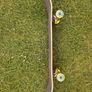 Pro Krooked Skateboard Image 5