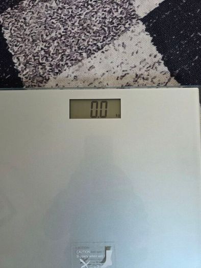 Bathroom scale