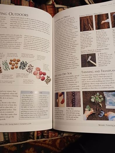 DK/ The Royal Horticultural Society/ Gardening Manual