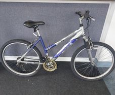Ladie's bike 26