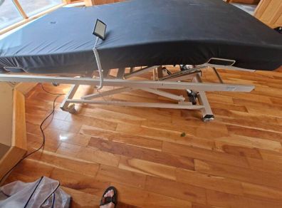 Hospital Bed