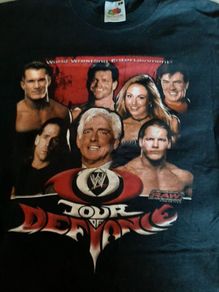 Rare Wwe tour of defiance tshirt.