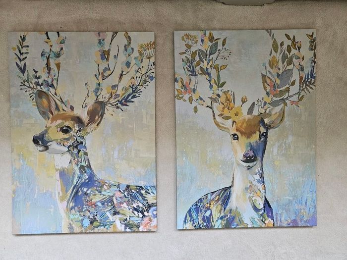 Canvas pictures x2 from Ikea