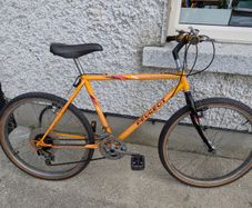 Peugeot Tigershark mountain bike - vintage