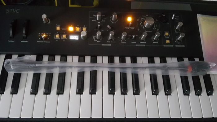 Waldorf STVC - 49 Key String synthesizer & Vocoder.