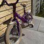 Raleigh Molli - Girls Bike Image 2
