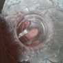 old lalique glass Image 8