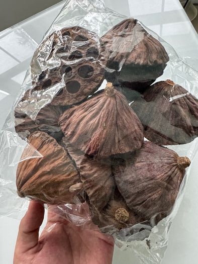 cholla wood & lotus pods for shrimps/aquarium
