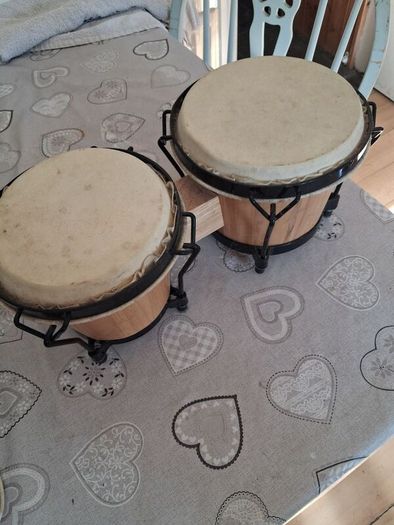 Bongo drums