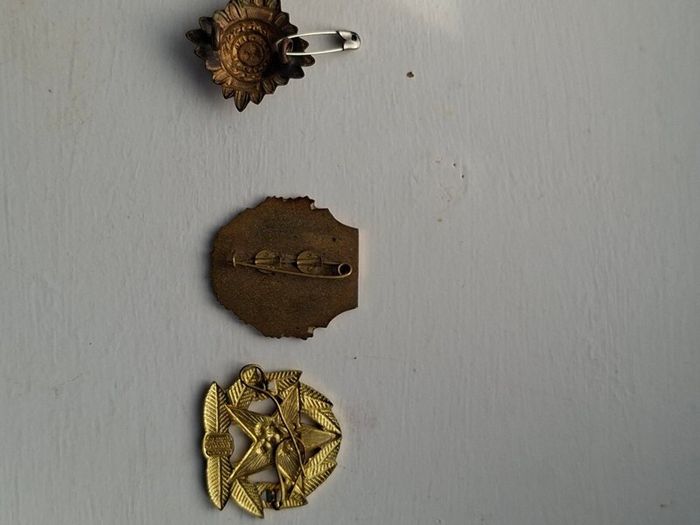 Collection of Military Badges