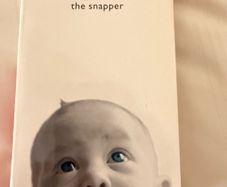 Roddy Doyle The Snapper paperback