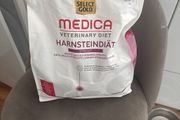 dog food