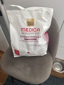 dog food