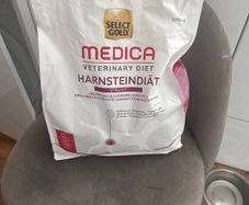 dog food