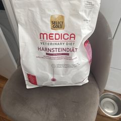 dog food