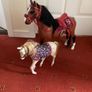Our generation horse and foal Image 3