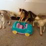 Barbie Bundle - sewing machine/horses Image 5