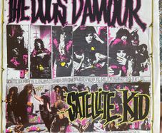 The dogs D'Armour satellite kid picture sleeve vinyl record in vg+ condition