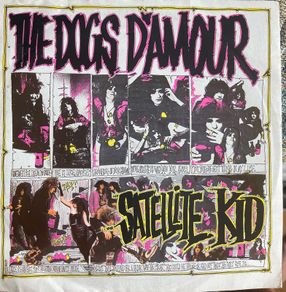 The dogs D'Armour satellite kid picture sleeve vinyl record in vg+ condition