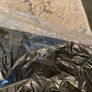 Genuine Mercedes-Benz E -Class Estate Protective Carpet Mar Image 4