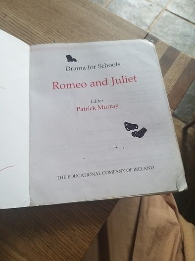 Romeo And Juliet