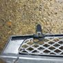 Fiesta Mk5 Radiator grille Image 2