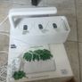 Click and Grow - Smart Graden Image 4
