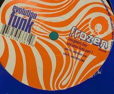 Techno 12 Inch records