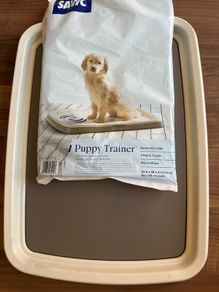 Puppy trainer