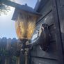 lanterans Image 5
