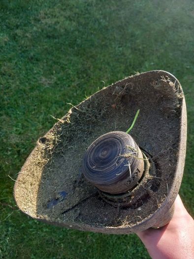 lawnmower and strimmer