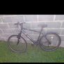 bike Image 2