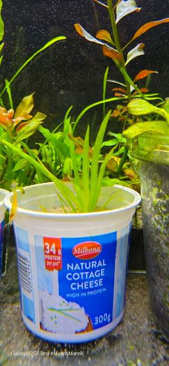 Aquarium Clay-peat balls 20 pieces