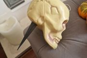 Halloween Decorations
