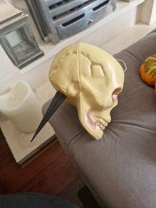 Halloween Decorations
