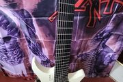 Strandberg Metal 8