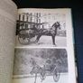 Horse Power by Marylian & Sanders Watney Image 7