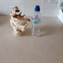 Figurine - The Leonardo collection -  Autum Breeze 1996 Image 6